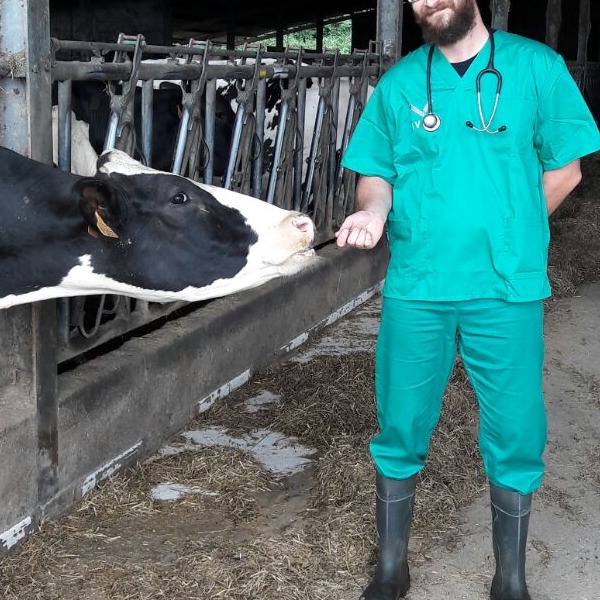 Consulta al Veterinario